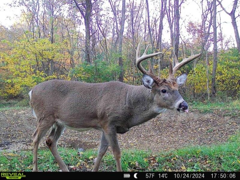 0 County Road 5 , Zanesfield, OH 43360 Photo 99