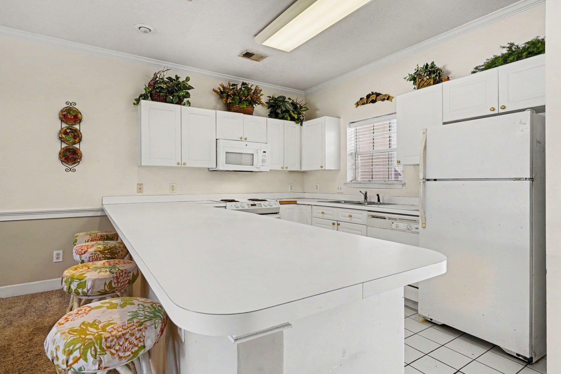 4835 Carnation Circle Photo 12