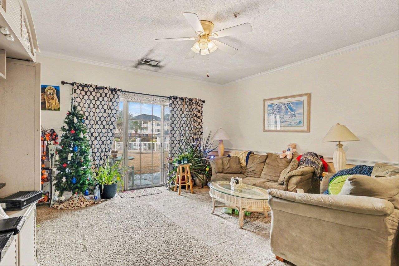 4835 Carnation Circle  Photo 5