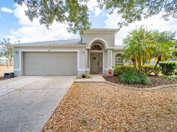 4309 BALINGTON DRIVE, VALRICO, FL 33596