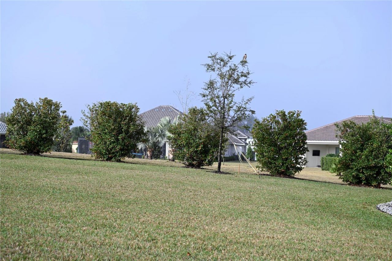 13753 Carryback Drive, Dade City, FL 33525 Photo