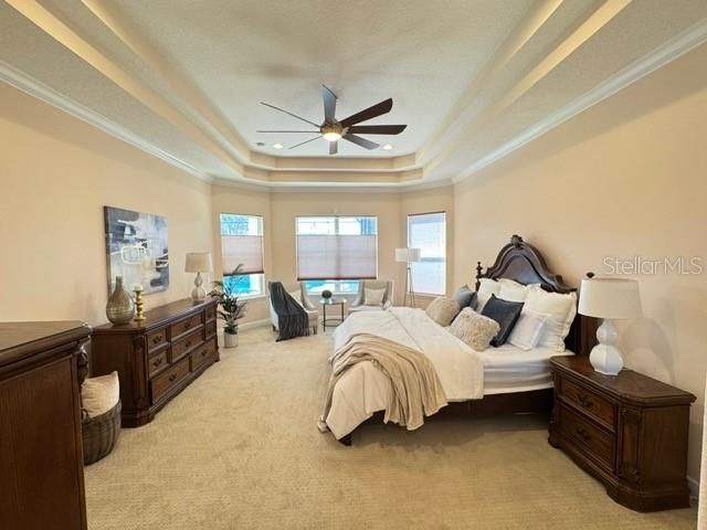 13753 Carryback Drive, Dade City, FL 33525 Photo