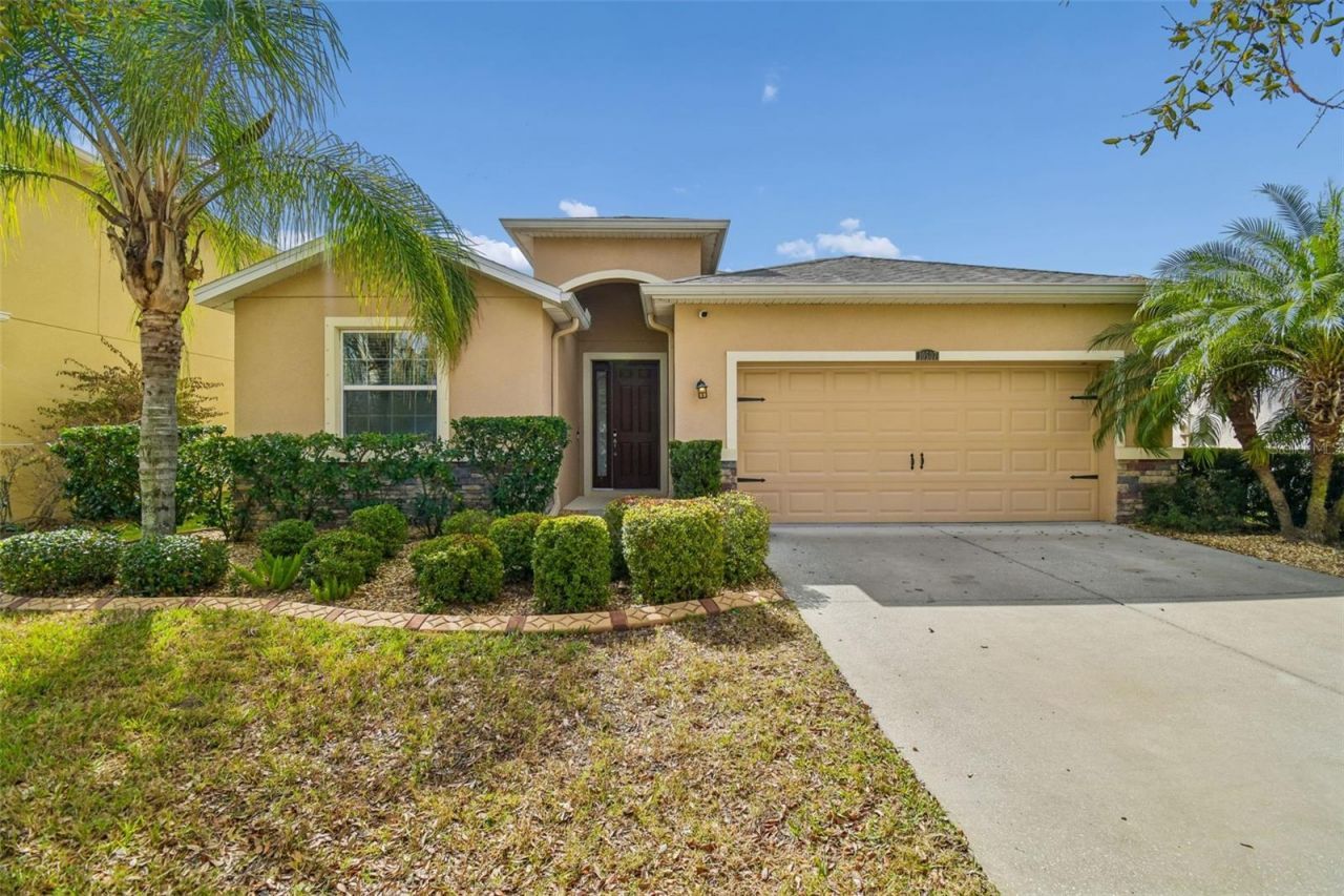 10507 Avian Forrest Drive, Riverview, FL 33578 Main Photo