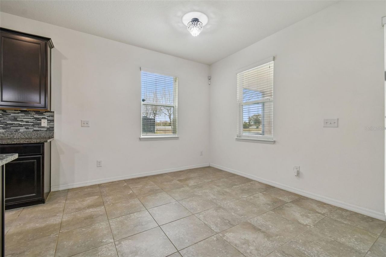 10507 Avian Forrest Drive, Riverview, FL 33578 Photo