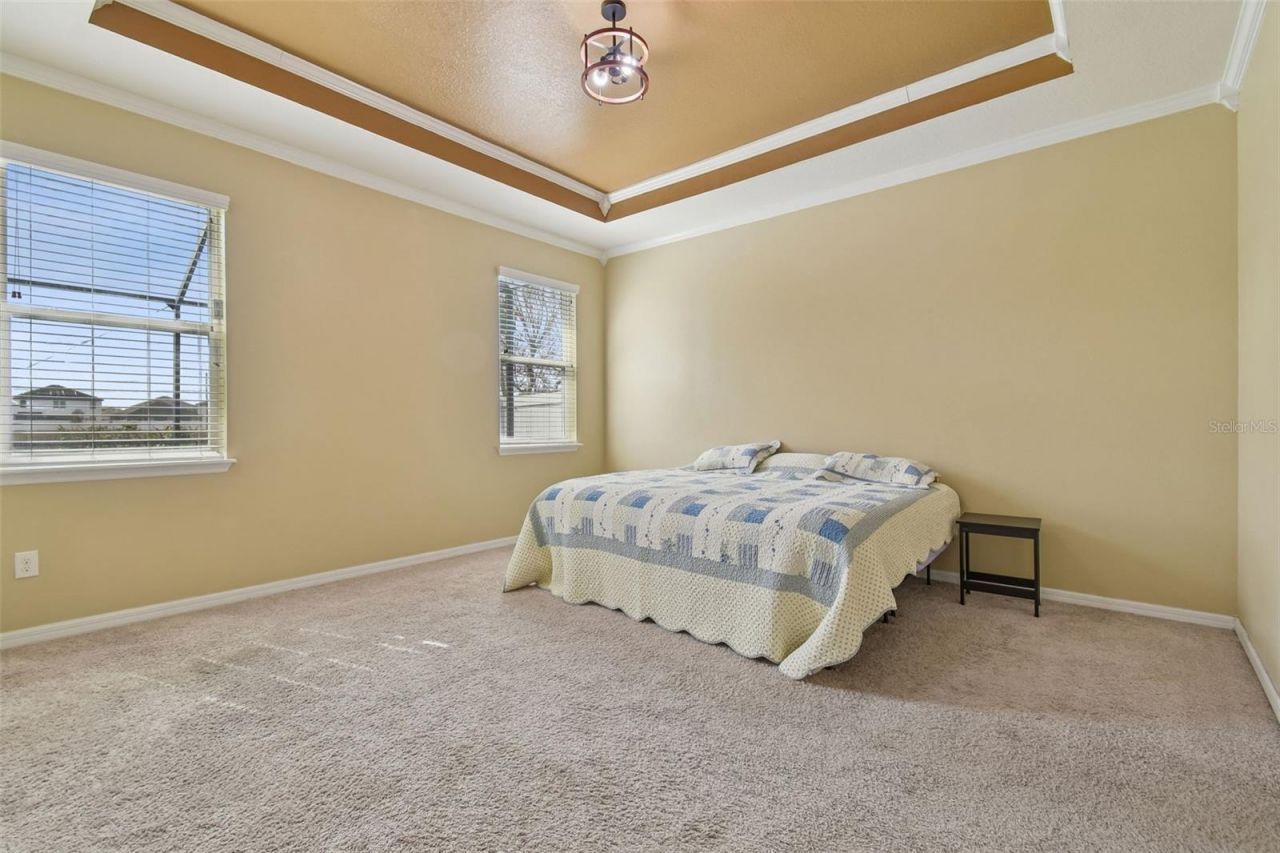 10507 Avian Forrest Drive, Riverview, FL 33578 Photo