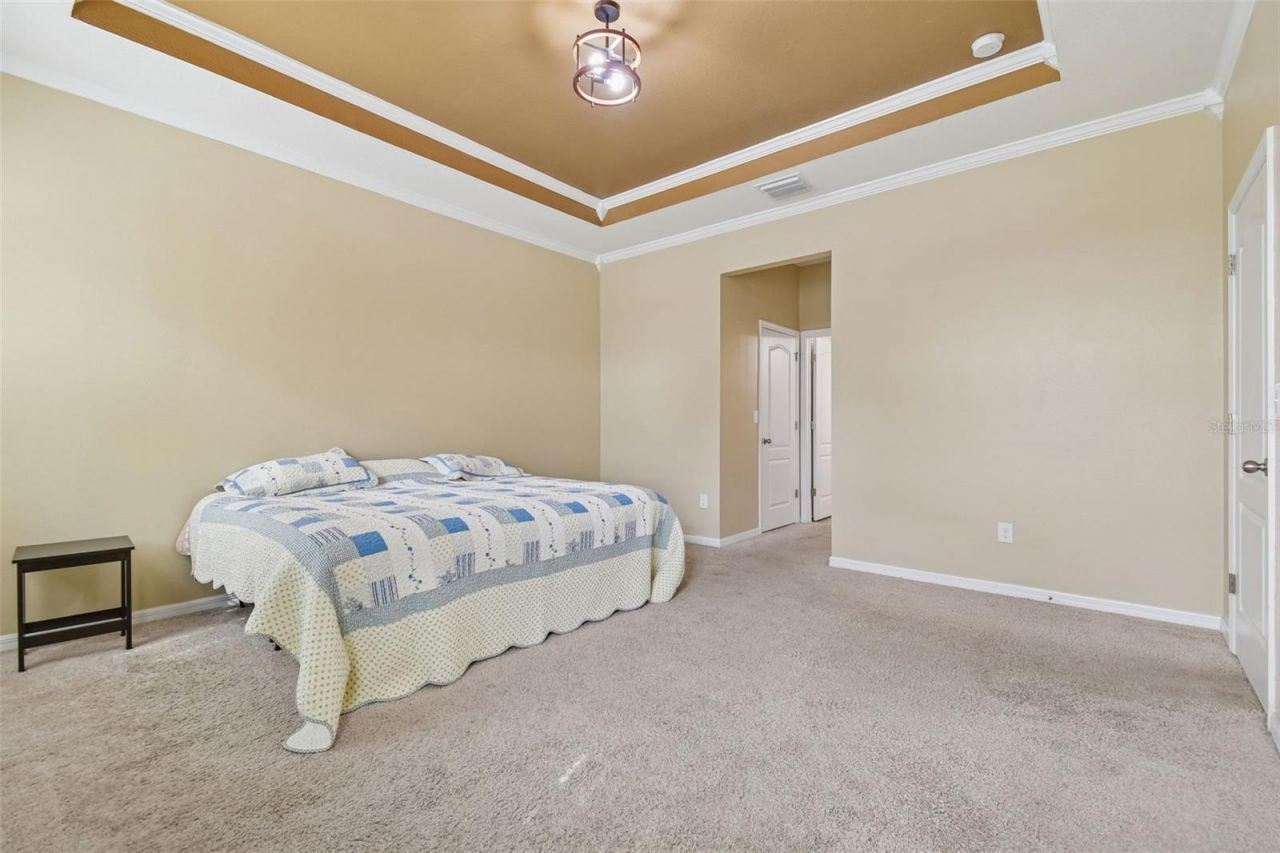 10507 Avian Forrest Drive, Riverview, FL 33578 Photo