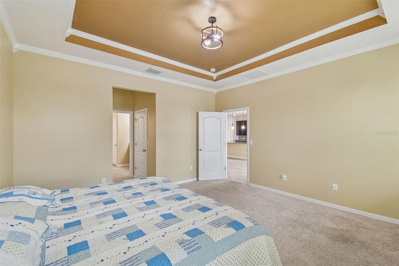 10507 Avian Forrest Drive, Riverview, FL 33578 Photo