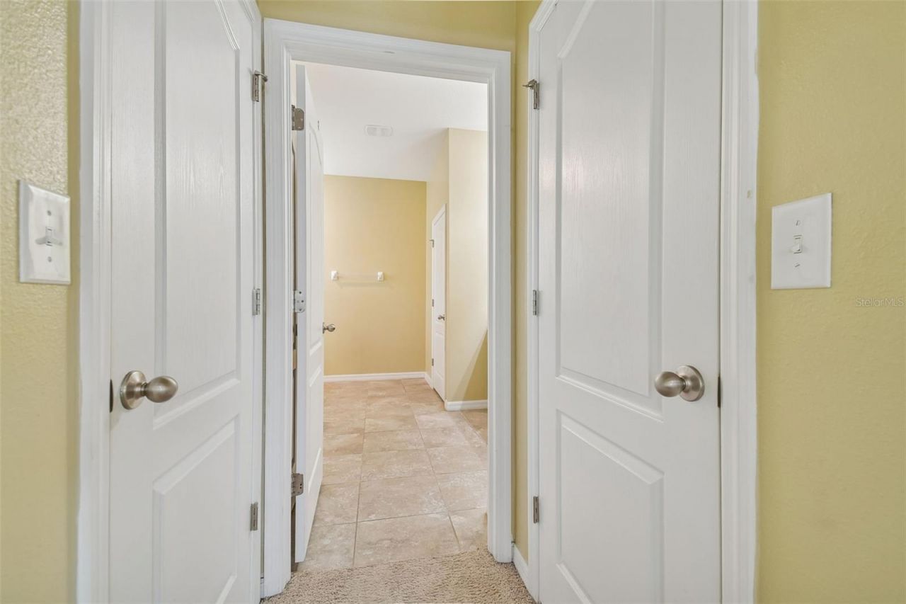 10507 Avian Forrest Drive, Riverview, FL 33578 Photo