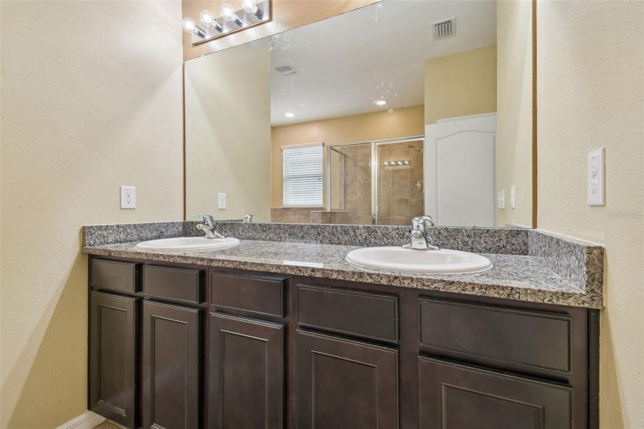 10507 Avian Forrest Drive, Riverview, FL 33578 Photo