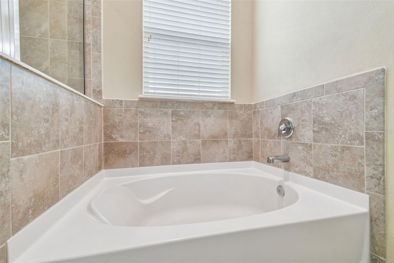 10507 Avian Forrest Drive, Riverview, FL 33578 Photo