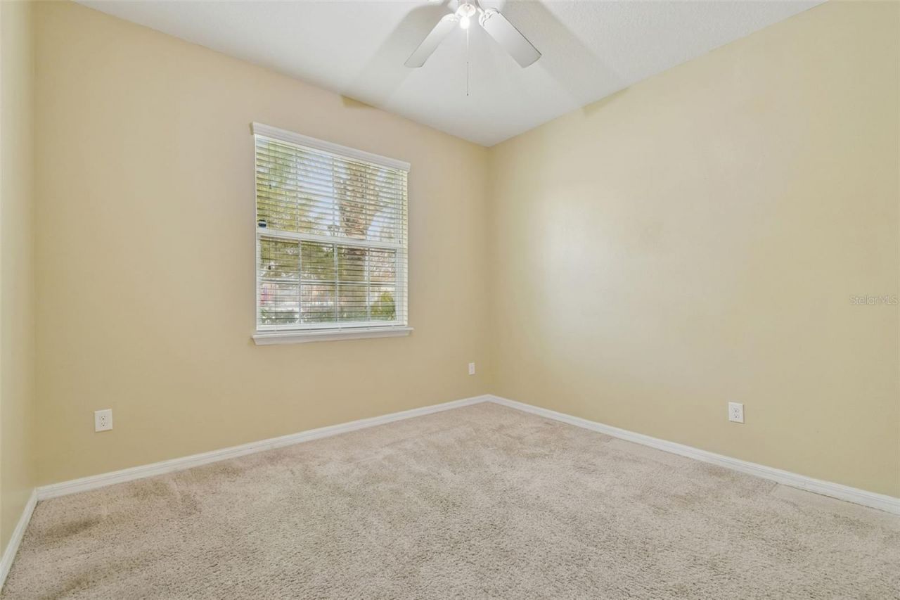 10507 Avian Forrest Drive, Riverview, FL 33578 Photo