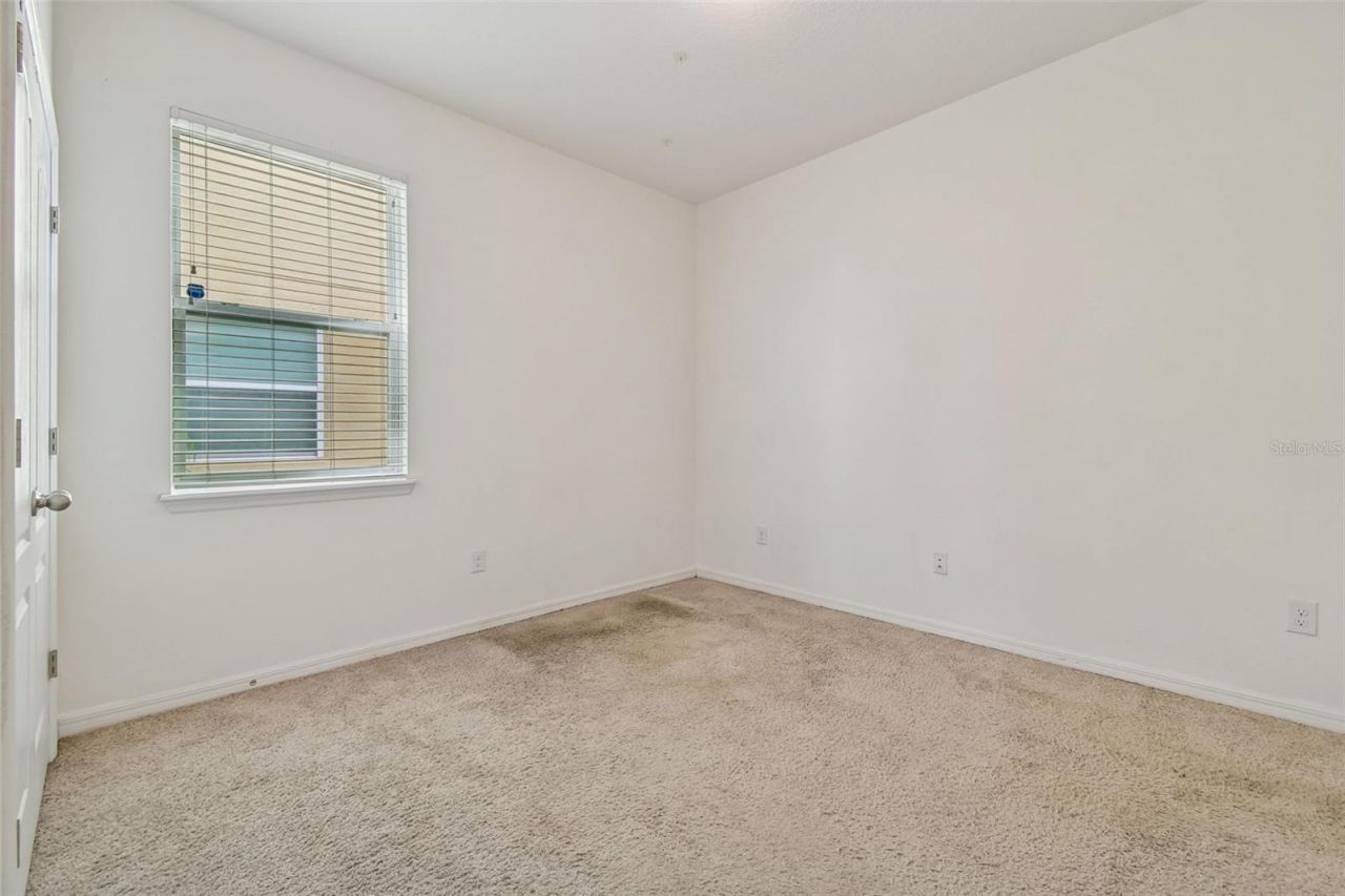 10507 Avian Forrest Drive, Riverview, FL 33578 Photo