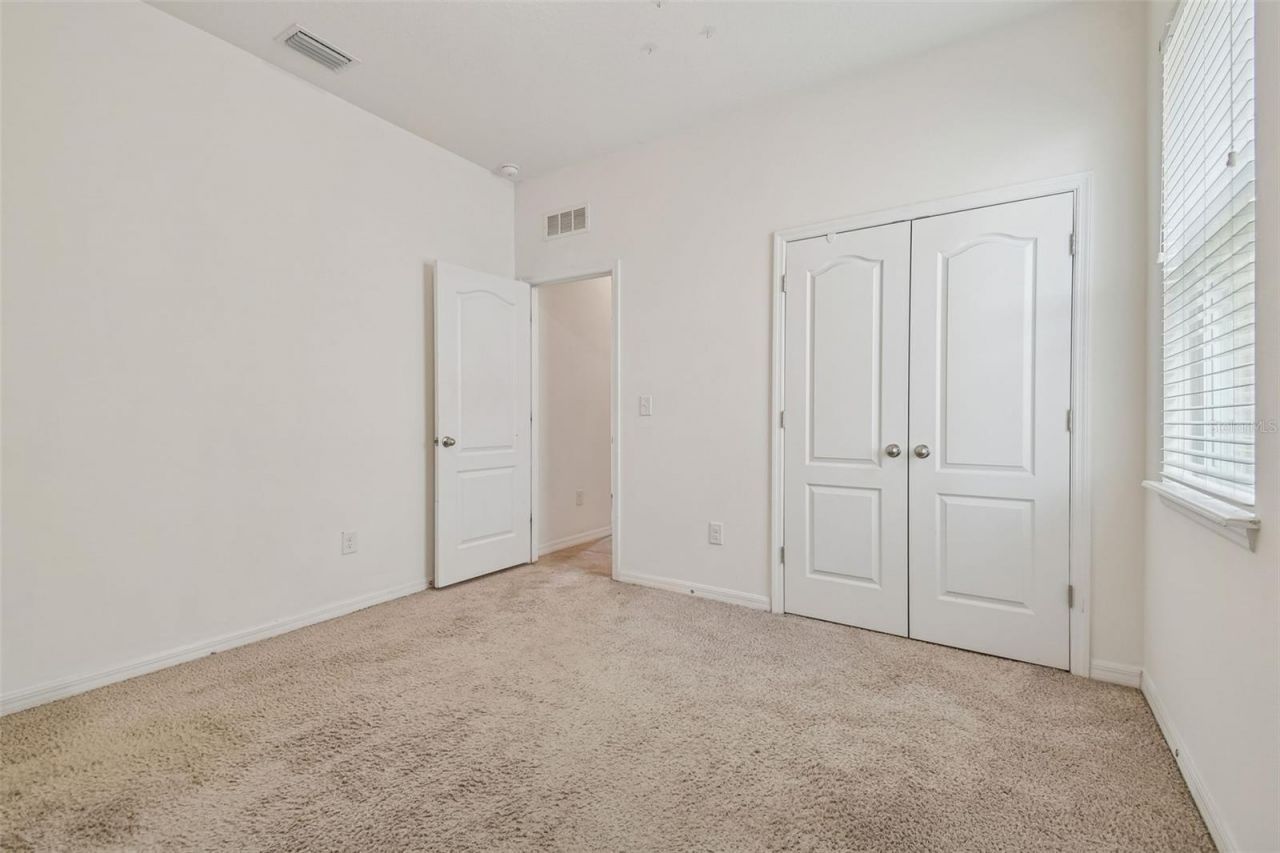 10507 Avian Forrest Drive, Riverview, FL 33578 Photo