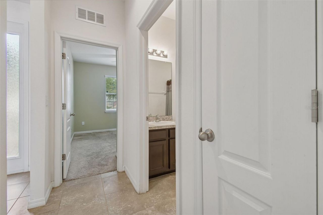 10507 Avian Forrest Drive, Riverview, FL 33578 Photo