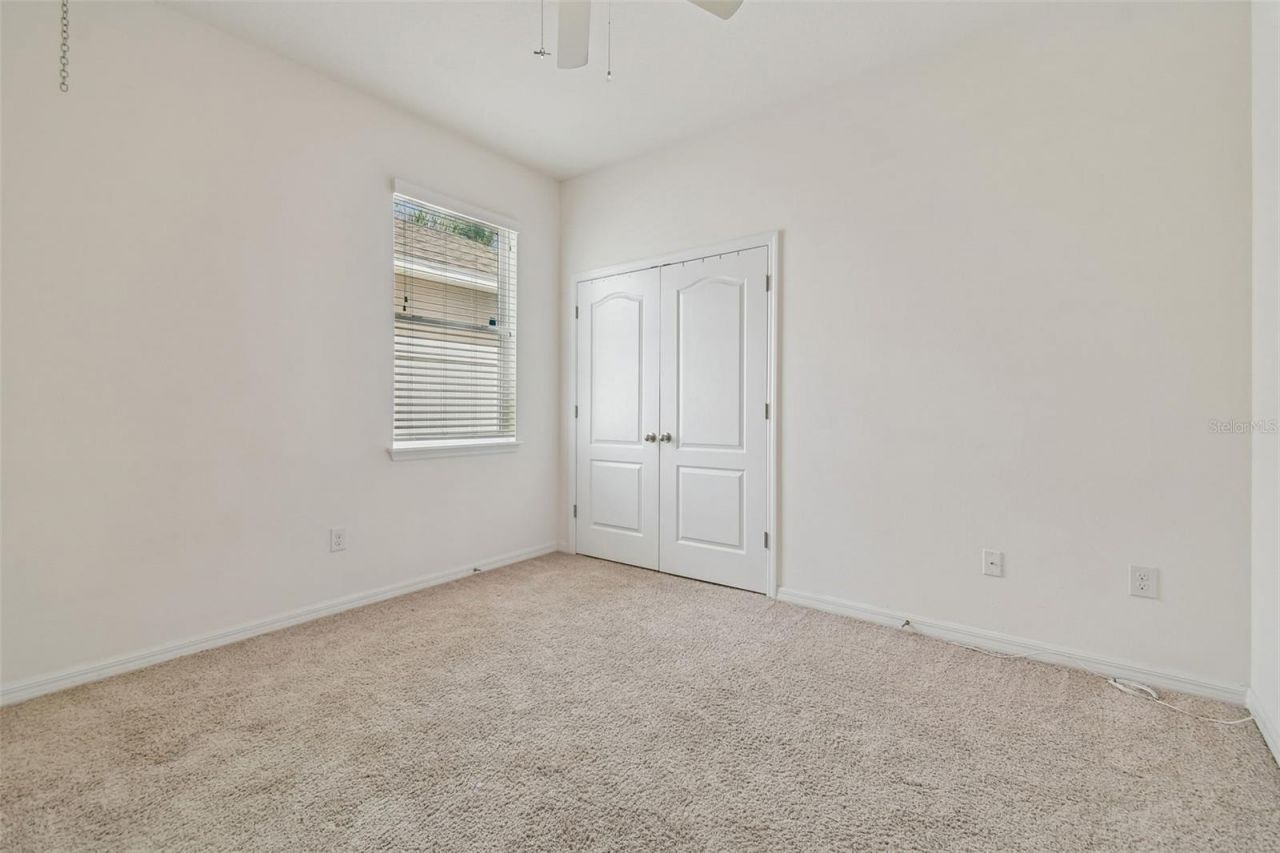 10507 Avian Forrest Drive, Riverview, FL 33578 Photo