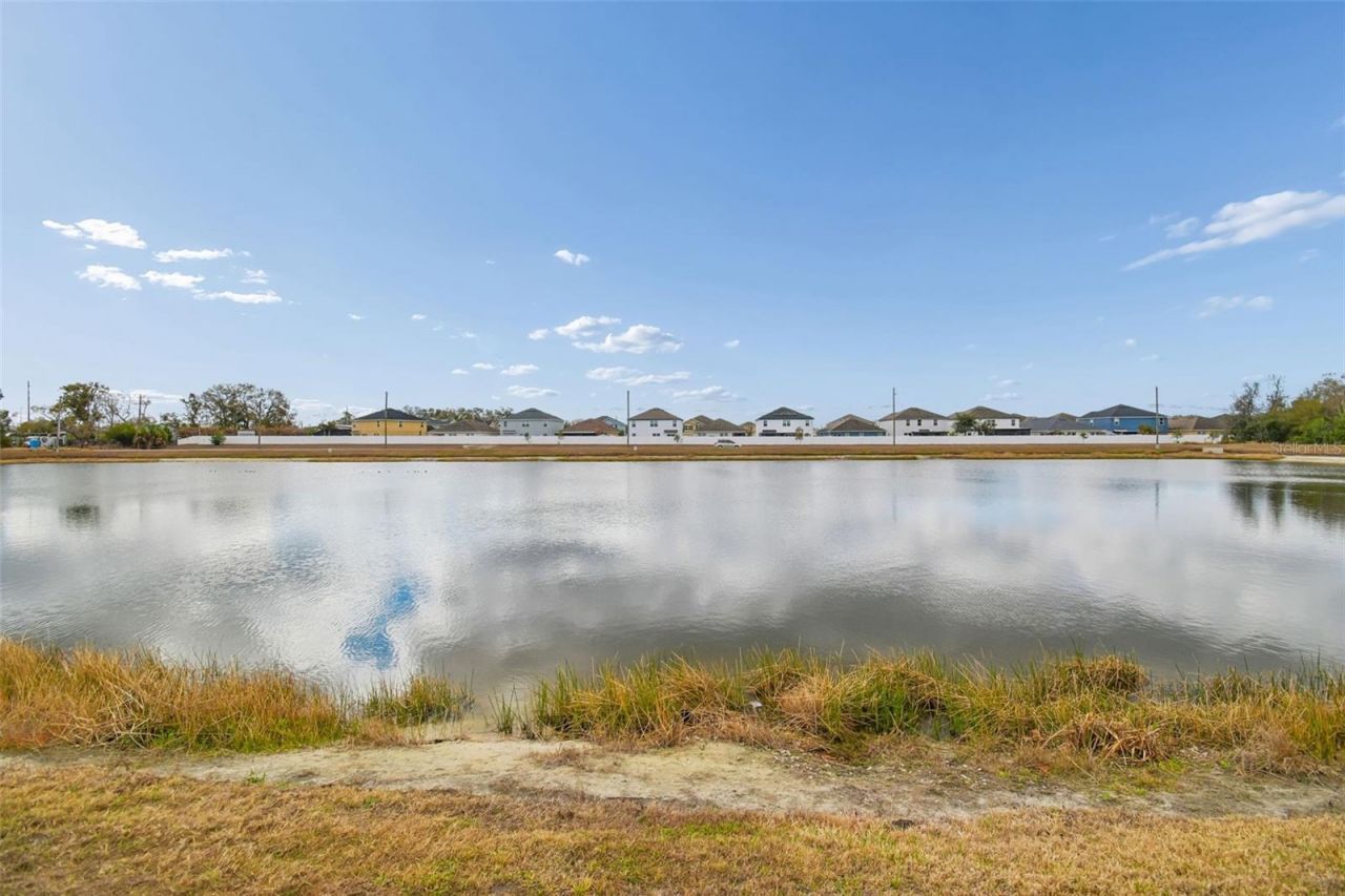 10507 Avian Forrest Drive, Riverview, FL 33578 Photo