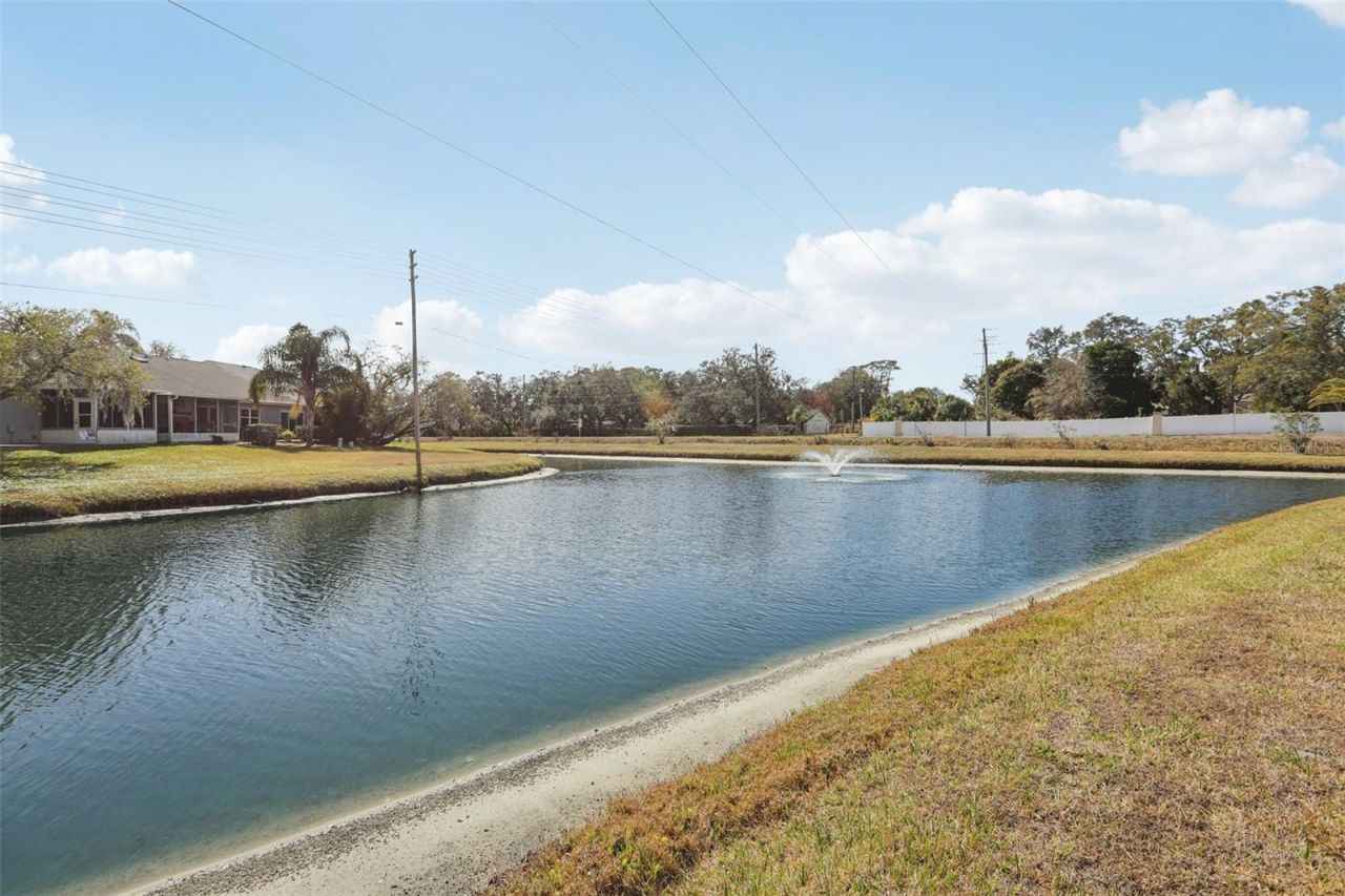 28 Brigton Court, Safety Harbor, FL 34695 Photo