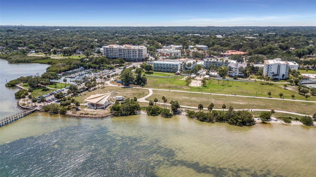 28 Brigton Court, Safety Harbor, FL 34695 Photo