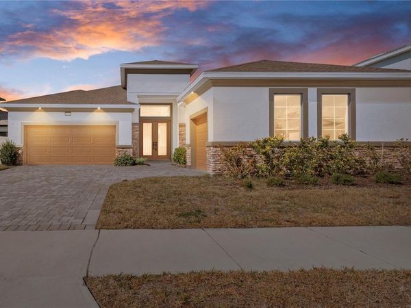 8749 DRUMMER PLANK DRIVE, WESLEY CHAPEL, FL 33545