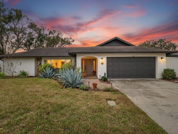 13206 TIFTON DRIVE, TAMPA, FL 33618