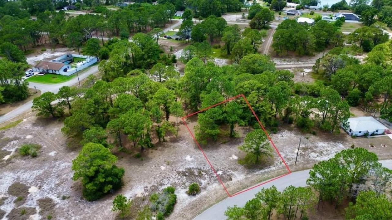 668 Lake Tina Drive, Lake Placid, FL 33852 Photo