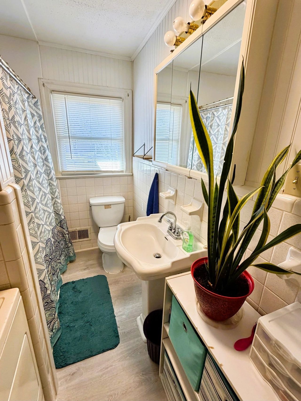 811 Cedar St.  Photo 31