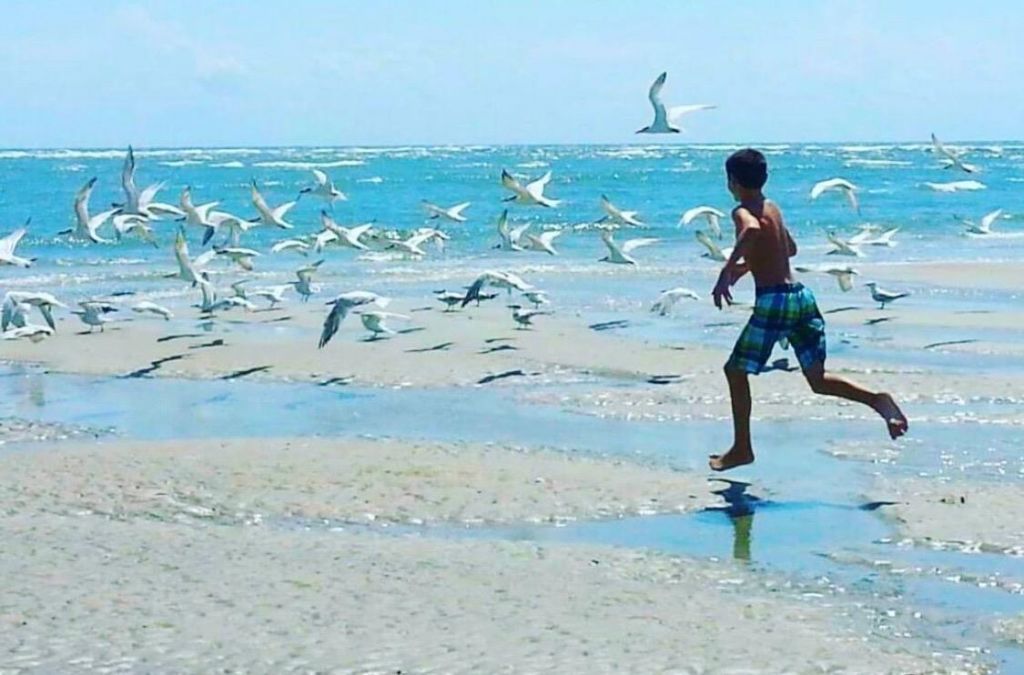 811 Cedar St.  Photo 43