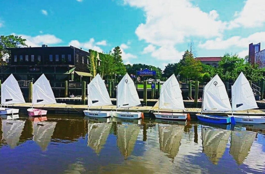 811 Cedar St.  Photo 45