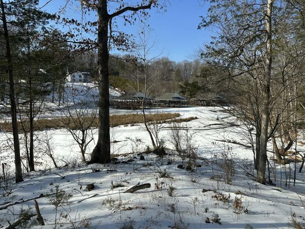 Lot 42 Lakewatch CIR , Moneta, VA 24121