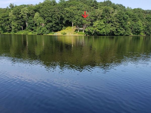 20 Litchfield Ave, Norfolk, MA 02056