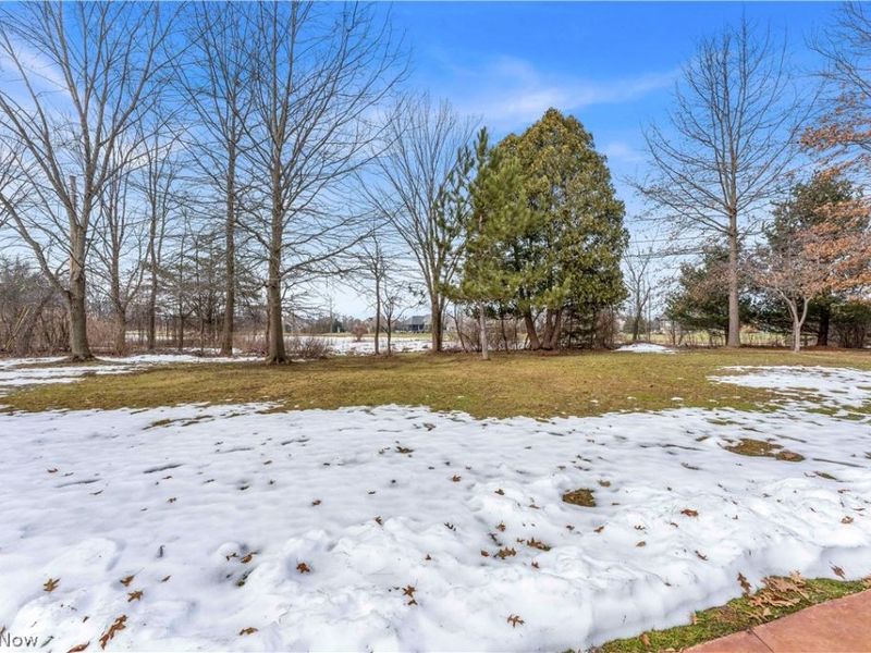 6598 Meadow Farm Drive, Hudson, OH 44236 Photo 42