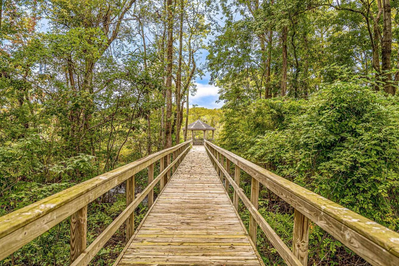 141 Tradd St. Photo 34