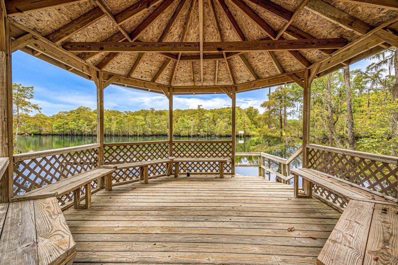 141 Tradd St. Photo 35