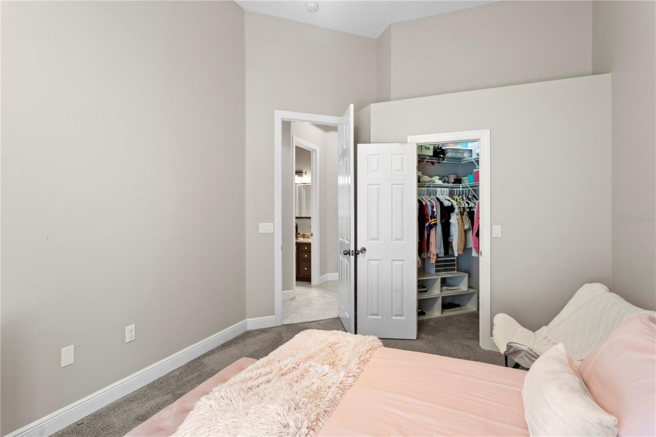 4302 Faircourt Drive, Valrico, FL 33596 Photo