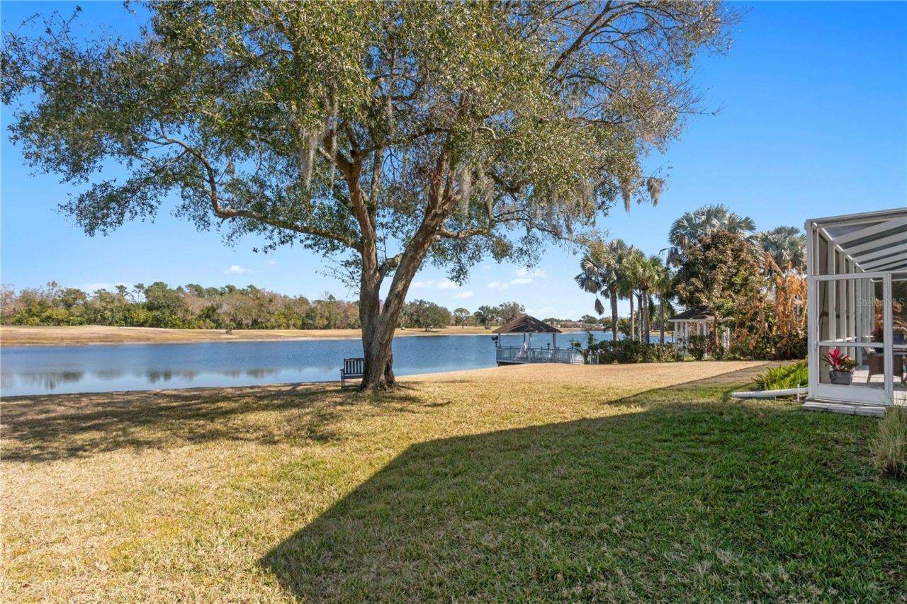 4302 Faircourt Drive, Valrico, FL 33596 Photo