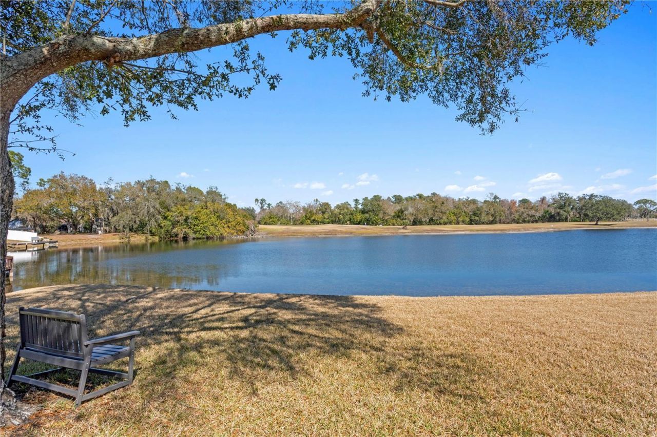 4302 Faircourt Drive, Valrico, FL 33596 Photo