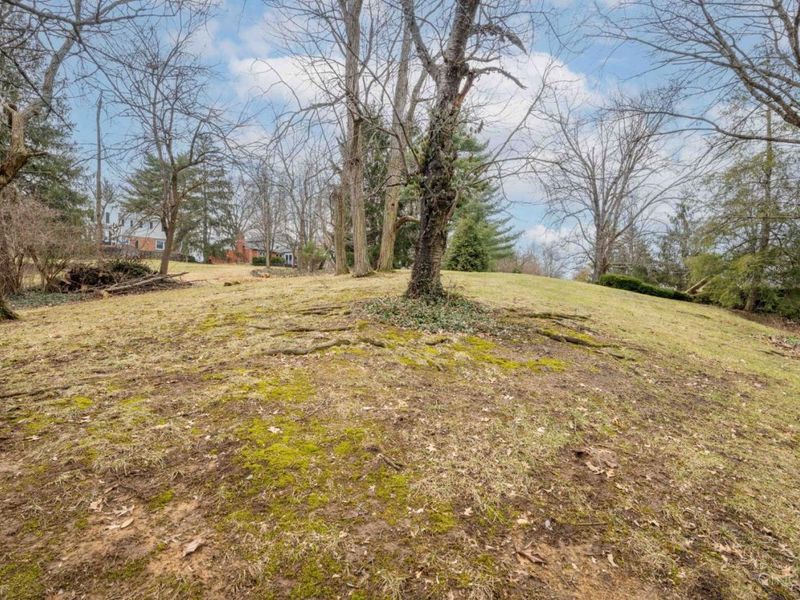 513 Chisholm Trail, Wyoming, OH 45215 Photo 57