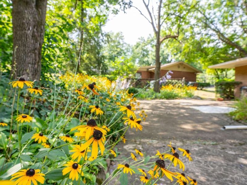 513 Chisholm Trail, Wyoming, OH 45215 Photo 72