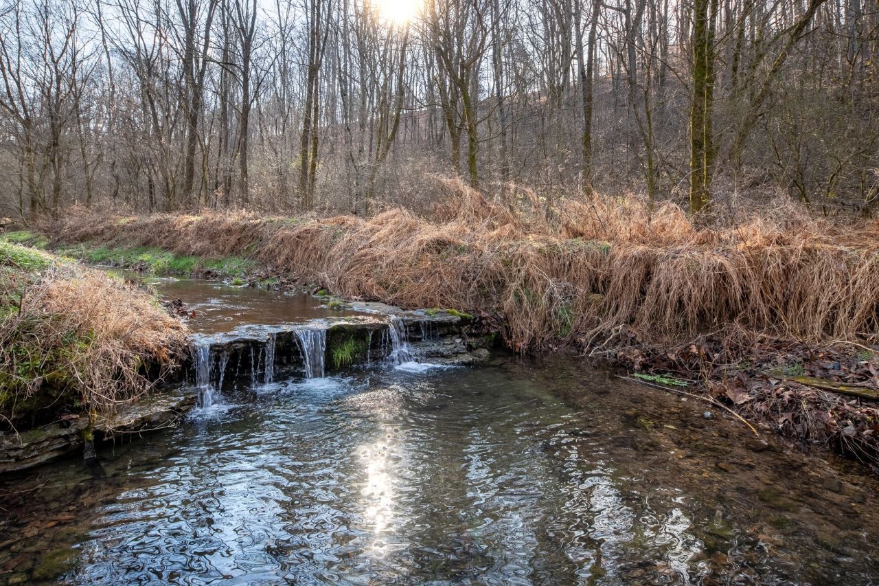 2171 Simmons Ridge Rd, Cornersville, TN 37047 Main Photo