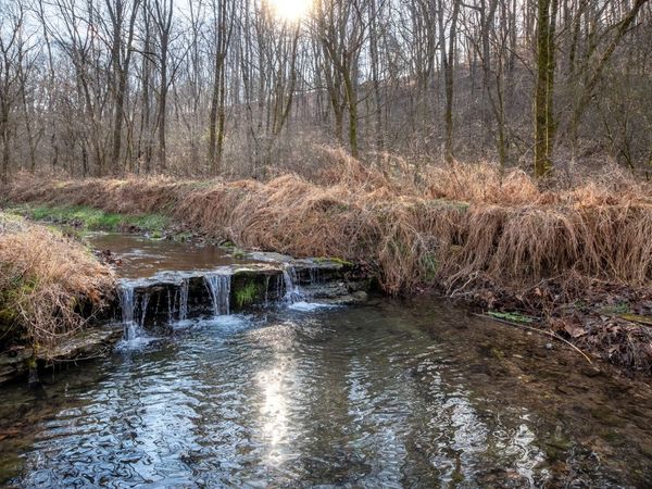 2171 Simmons Ridge Rd, Cornersville, TN 37047