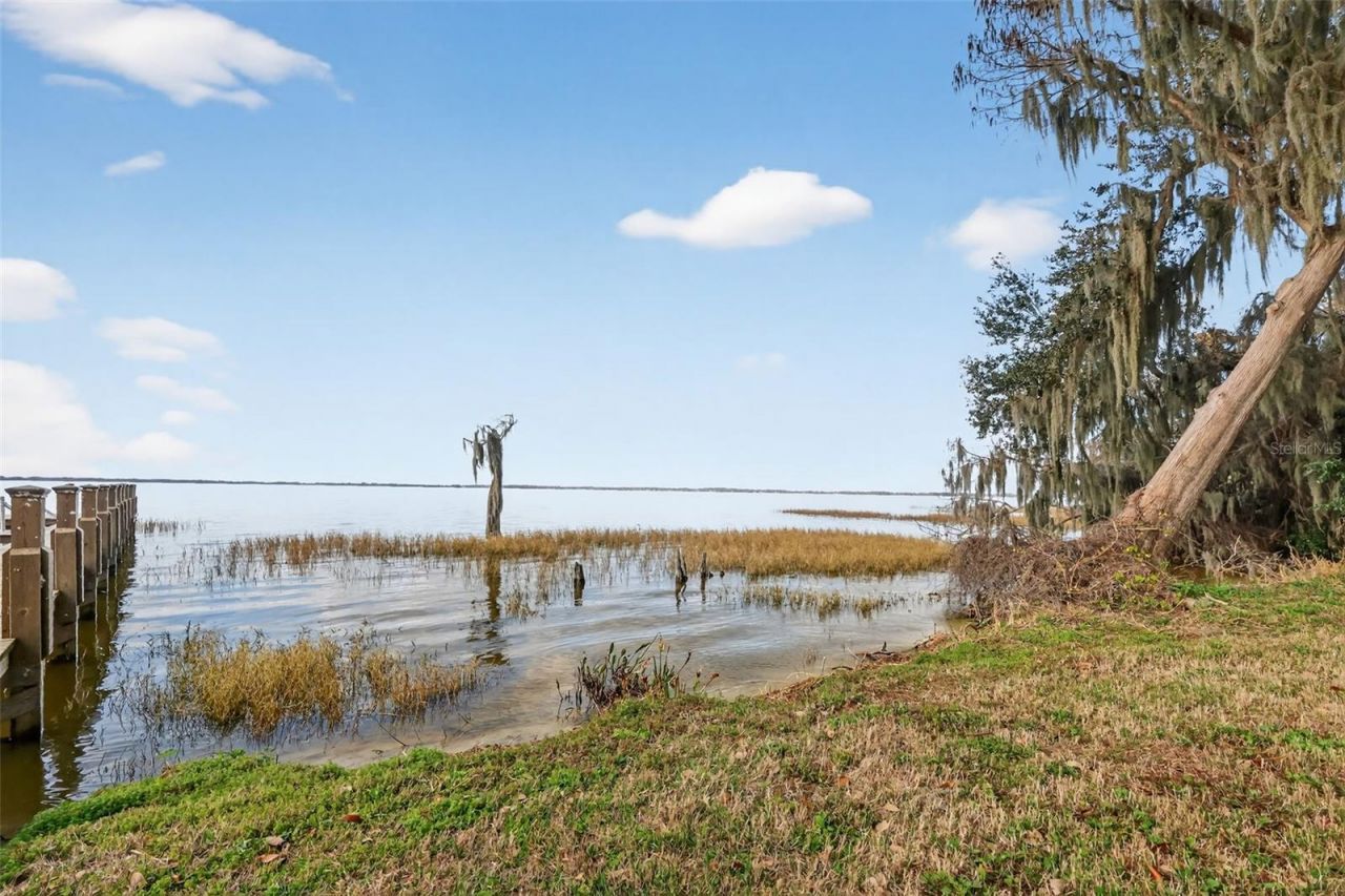 2898 Ann Rou Road, Tavares, FL 32778 Photo