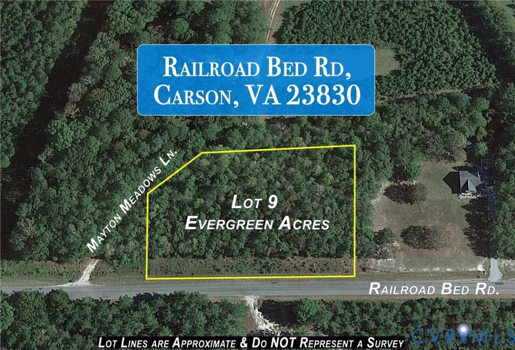 Lot 9 Railroad Bed Road, Carson, VA 23830 Main Photo