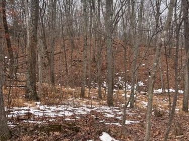 HUMMINGBIRD LANE, STAR TANNERY, VA 22654