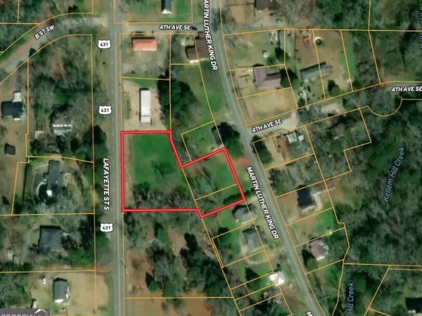 0 Lafayette Street, Lafayette, AL 36862