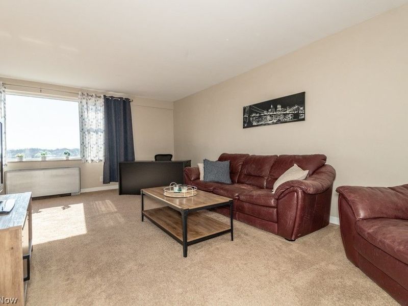 11850 Edgewater Drive, Unit 1002, Lakewood, OH 44107 Photo 4