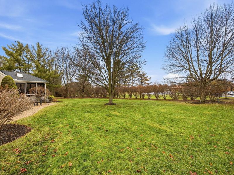 7662 Wallsend Court, Dublin, OH 43017 Photo 46