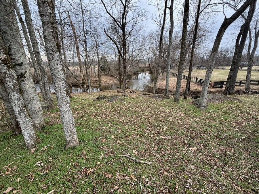 Property Image 78