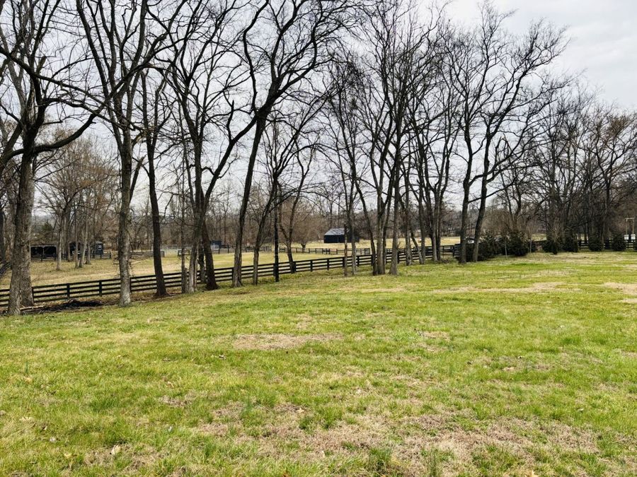 Property Image 81