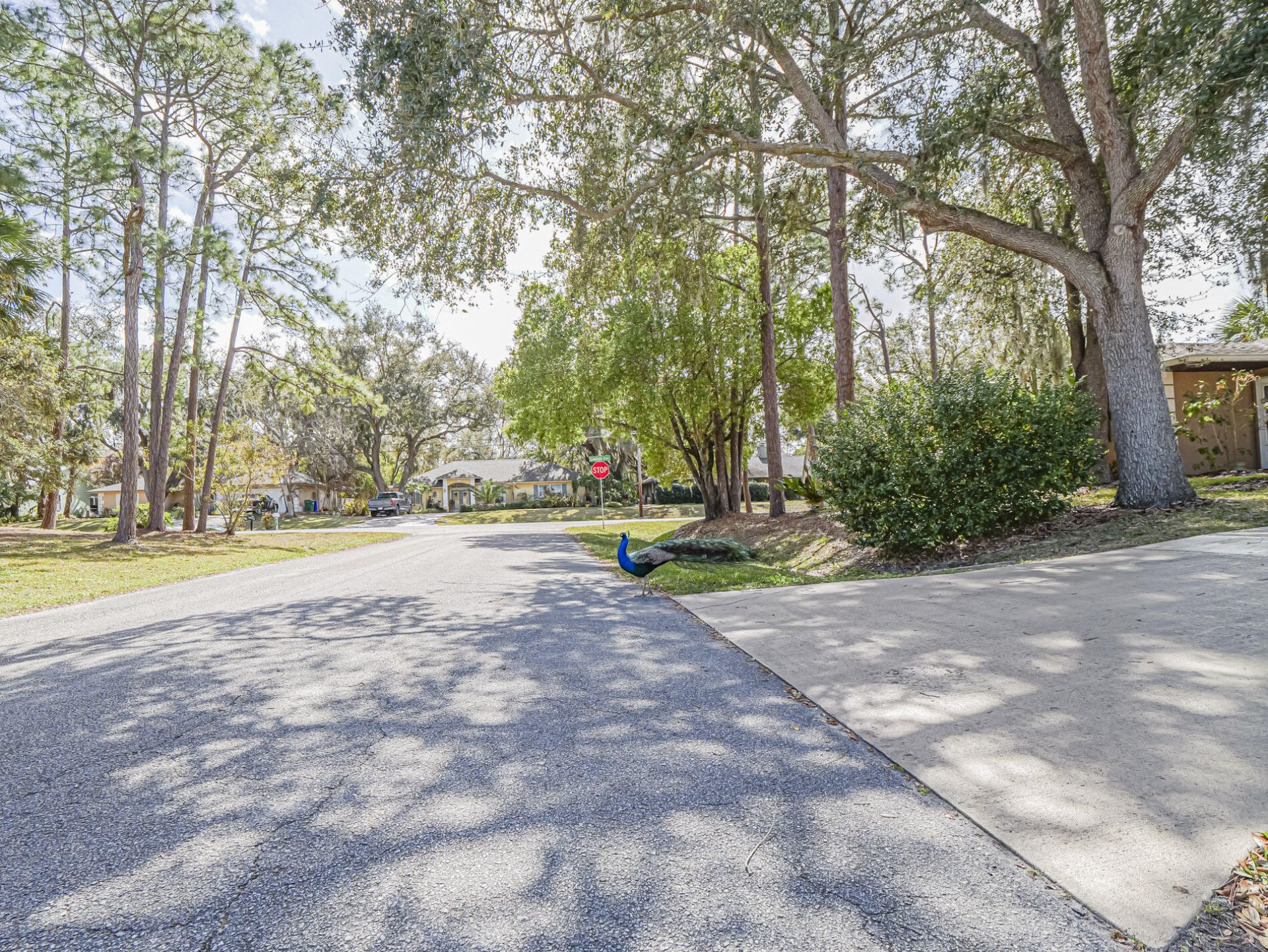 1686 Coral Reef Street, Sebastian, FL 32958 Photo