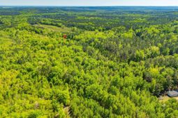 Black River Road  photo 4